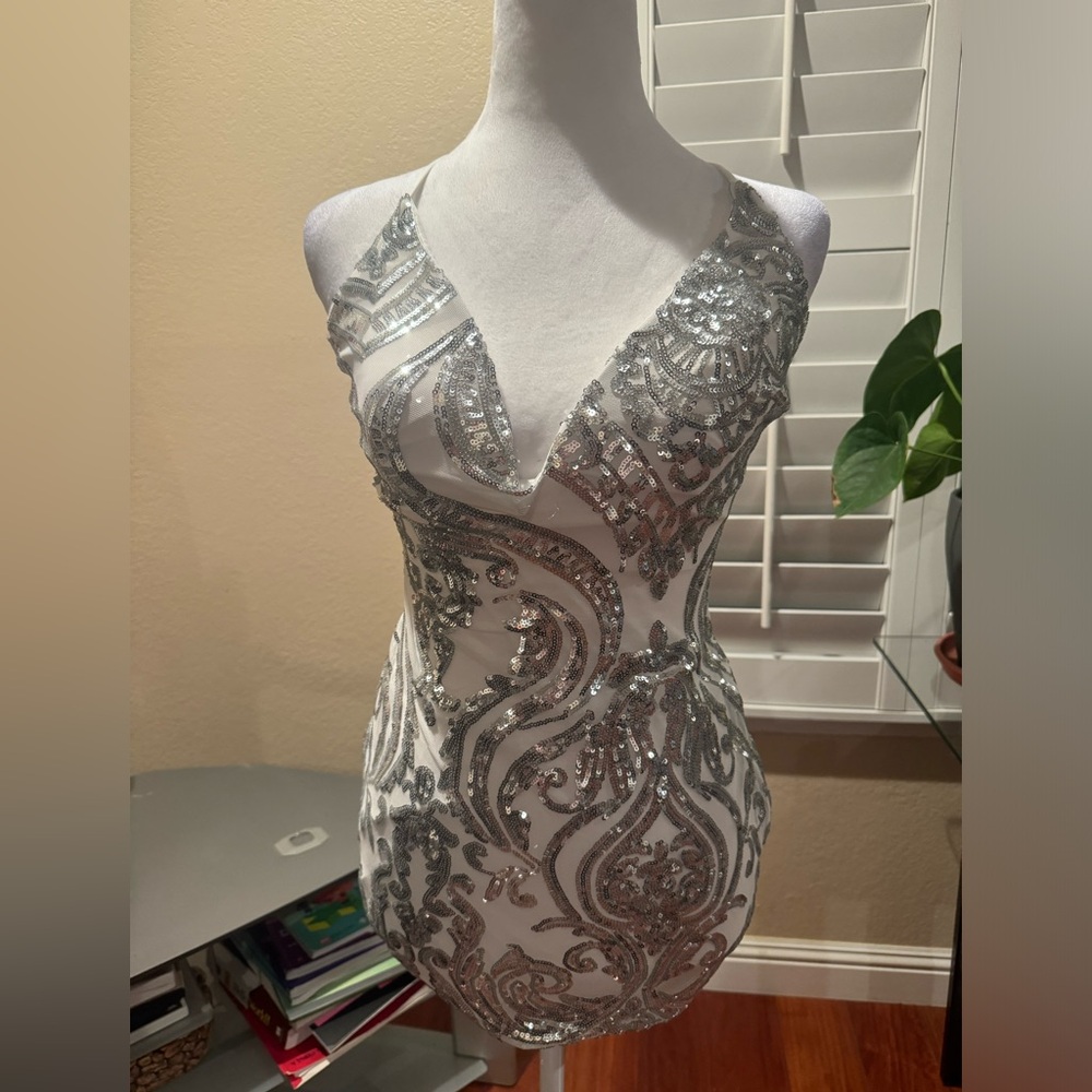 Fashion Nova Dress